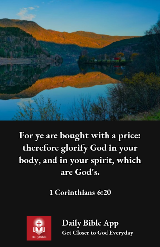 2023-01-081673227951881