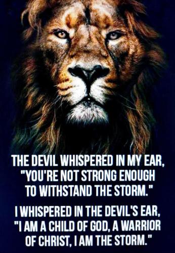 IMG_20230126_192823_583