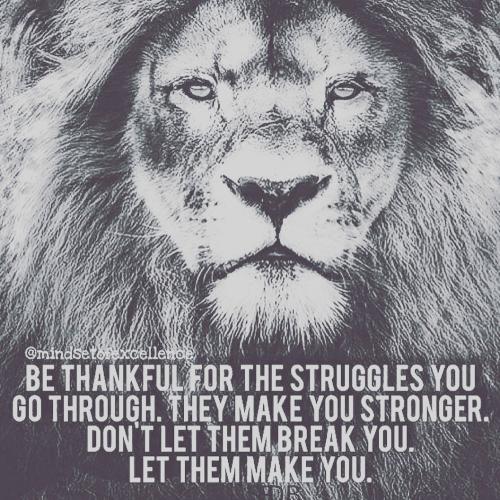 IMG_20230102_043227_405