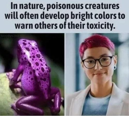 FB_IMG_1674499426481