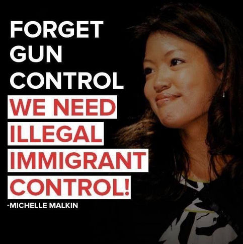 illegal immigration309