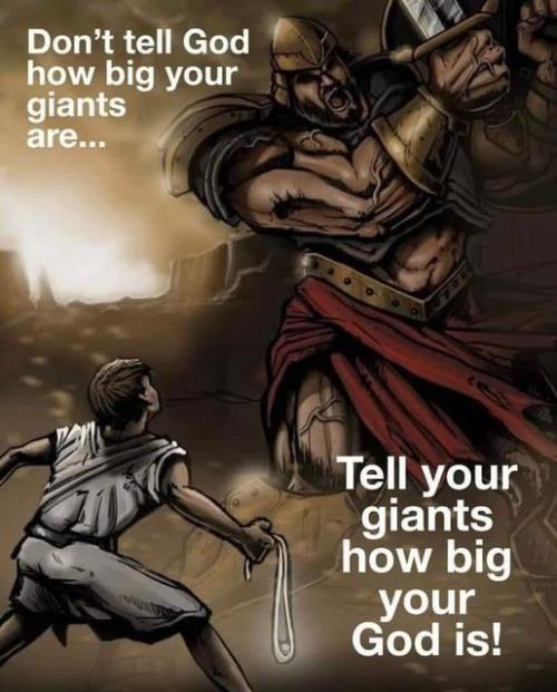 IMG_20230129_191123_902