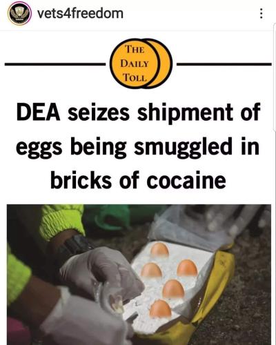 eggs smuggled