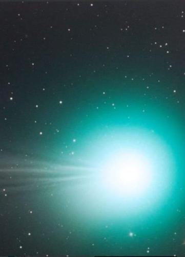 51cCp52jAWL._AC_AC_SR98,95_