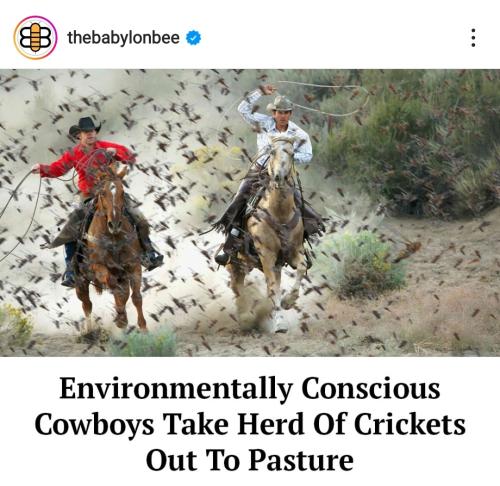 Screenshot_20230126_070257_Instagram