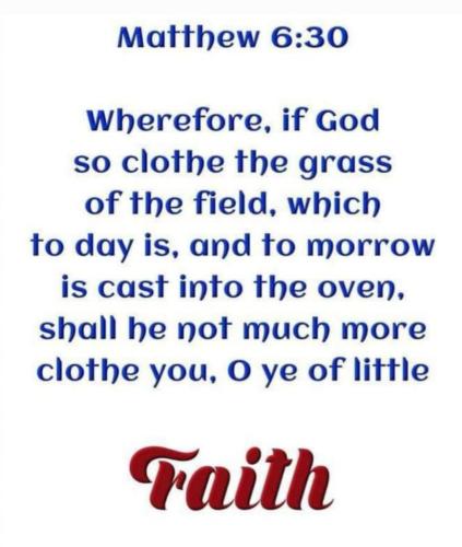 78bc2c5a-c4cc-4be4-93b0-efb8f46136b1