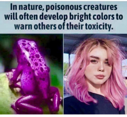 IMG_20230129_190634_852