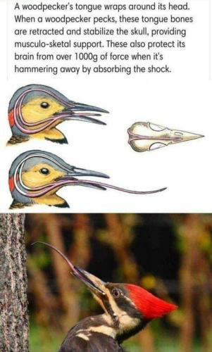 received_1616641448778957_kindlephoto-27662656