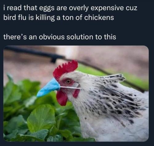 f2b16e36-de36-4040-a578-d6c26df77b5f