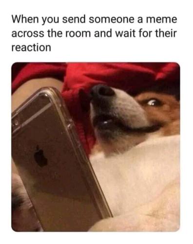 FB_IMG_1673077497547