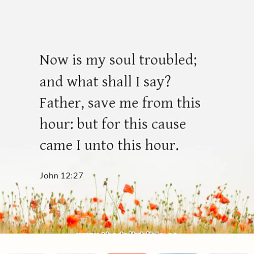 dailybible_20230113-165743_John_12-27