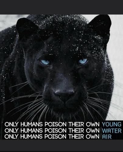 20:23:38 GMT+1300 (New Zealand Daylight Time).image