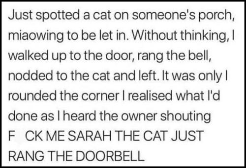 323438507_894416638580600_4550959855543287561_n