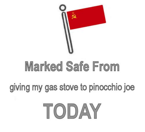 gas stoves18