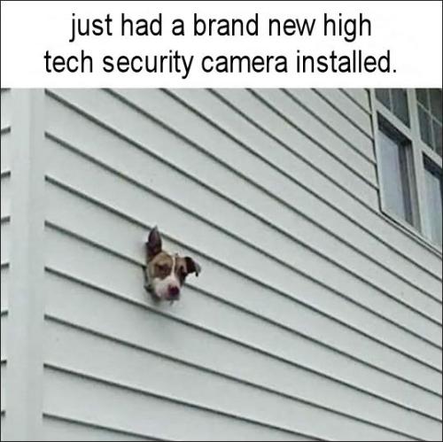 just had a brand new high tech security camera installed