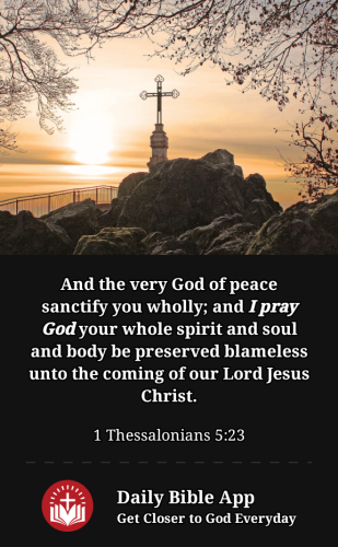 2023-01-191674178552453