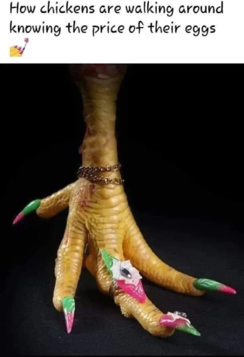 Screenshot_20230130-085913~2