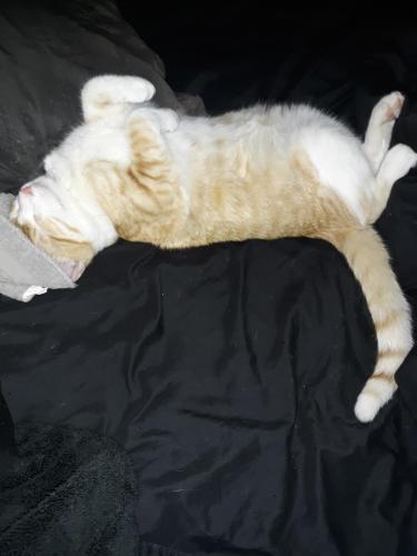 30388472-1697-45b6-8186-8a0f62f58738