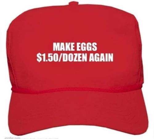 FB_IMG_1674741529267