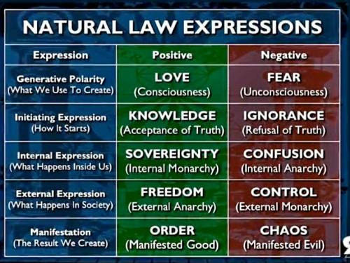 Screenshot_20230104_172811_Rumble