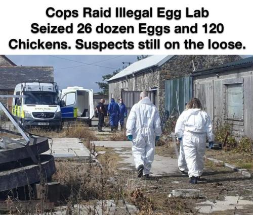 FB_IMG_1675093108196