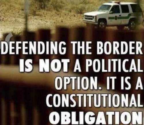 illegal immigration311