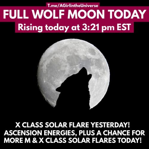 IMG_20230106_112510_956