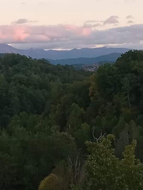 FB_IMG_1665015524598