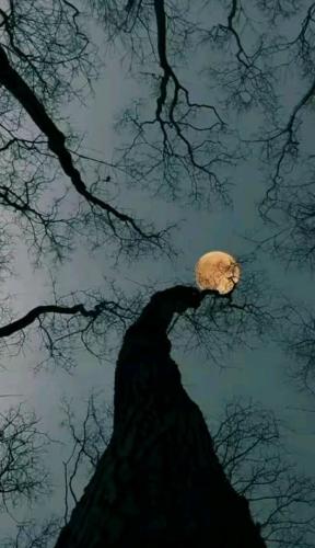 20:41:24 GMT-0600 (CST)