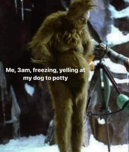 FB_IMG_1673924773811