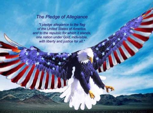 pledge to flag 31