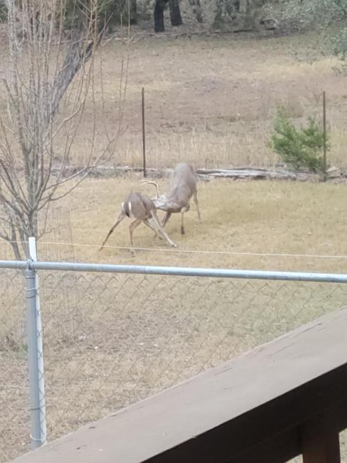 d7f71063-2547-4fb9-b1bf-4628f6c84b40