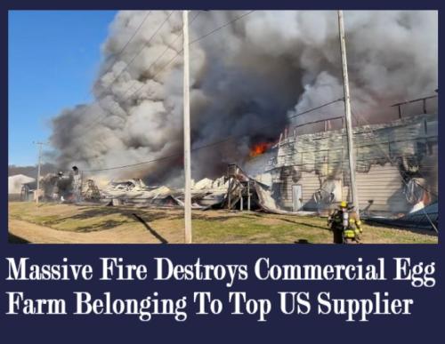 photo_2023-01-29_23-52-06