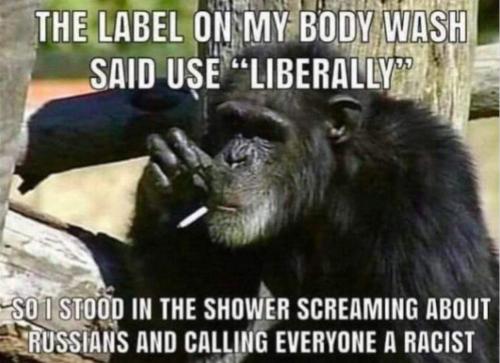 FB_IMG_1672710781987