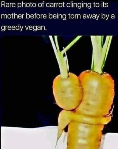 FB_IMG_1674940979473