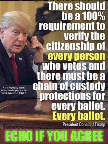 Voting 1
