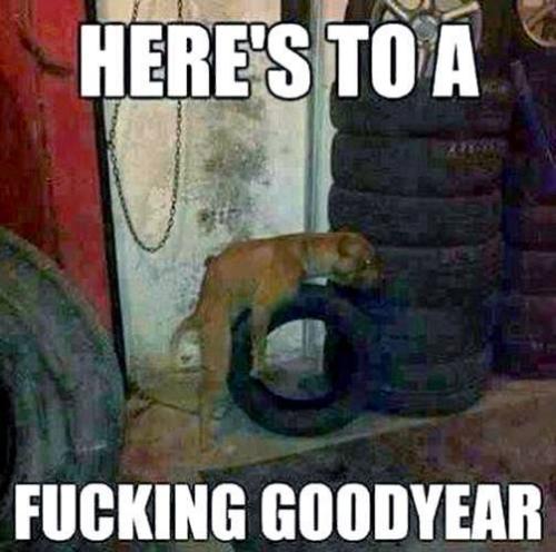 new year goodyear