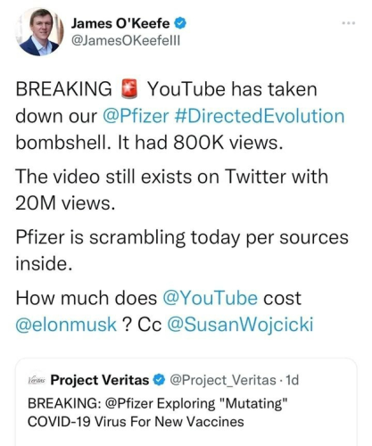 Pfizer takes down video