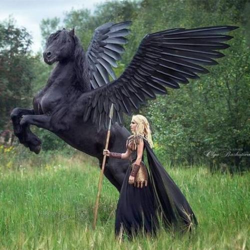 323688056_680778683529168_7621567736950701084_n