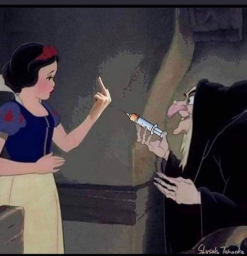 FB_IMG_1672850081107