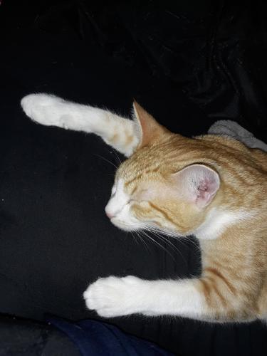 3d7114da-067b-4ca1-90cb-edc538ea52f1