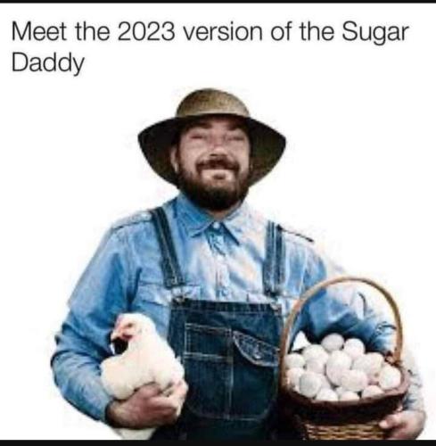 Screenshot_20230209_162345_YouTube