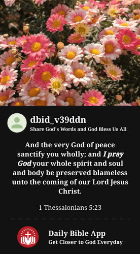 2023-02-201676940807266