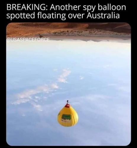 FB_IMG_1677161880447