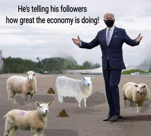 IMG_20230226_103614_343