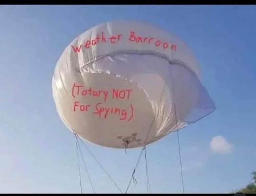 328631025_557939839621674_5279214515544280593_n