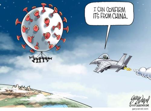 FB_IMG_1675705964806