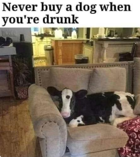 IMG_20230215_165854_733