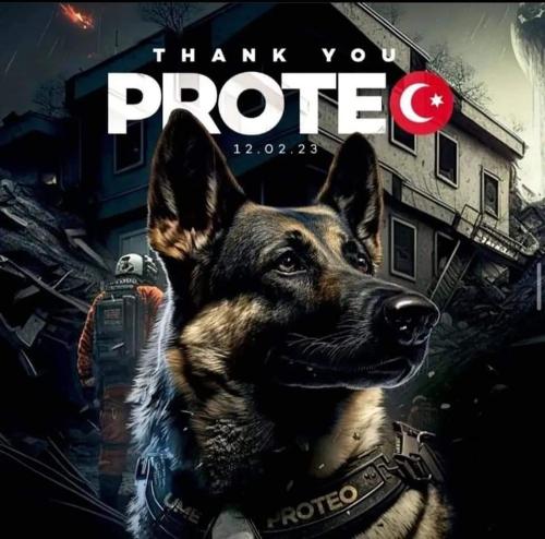 10:46:04 GMT-0600 (CST)