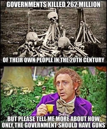 only the government should have guns